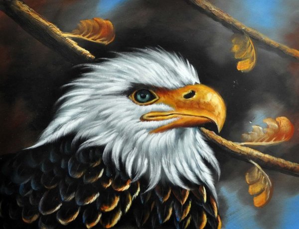 Орел над лесом