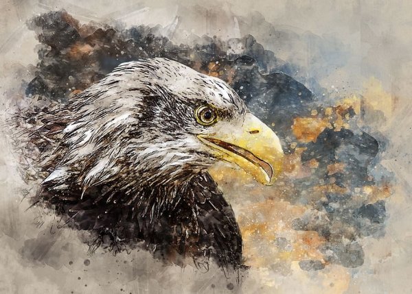 Орёл Сокол Беркут в живописи маслом