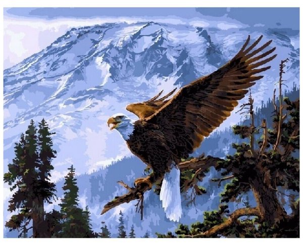 Coheleach, guy художник