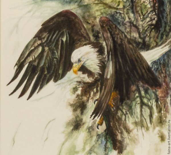 Солнечная птица