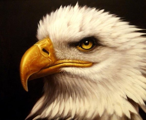 Картины Руди Рейхардта