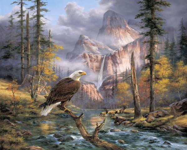 Орел картина