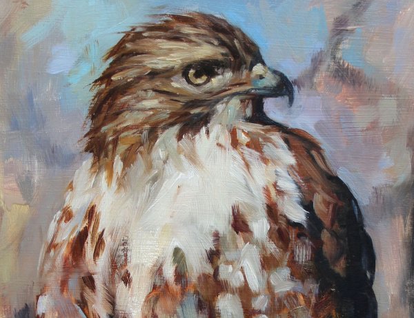 Орел картина