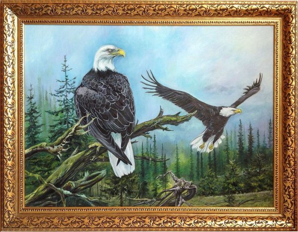 Орел картина