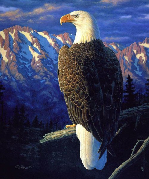 Орлов живопись