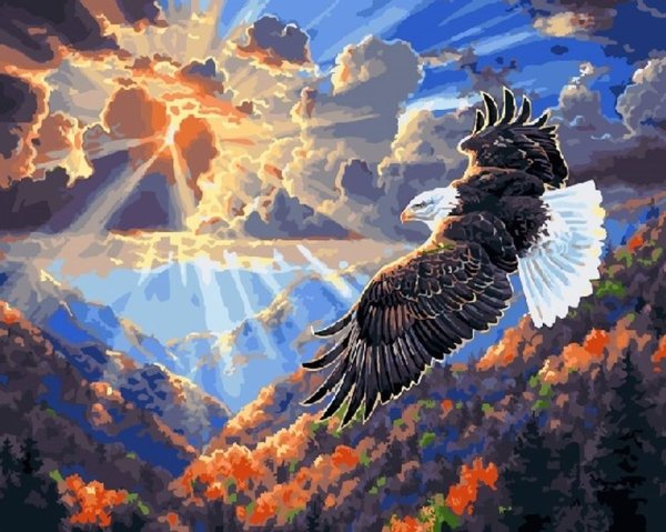 Алмазная мозаика парящий Орел