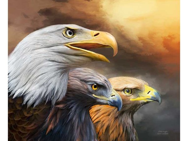 Орел в горах маслом