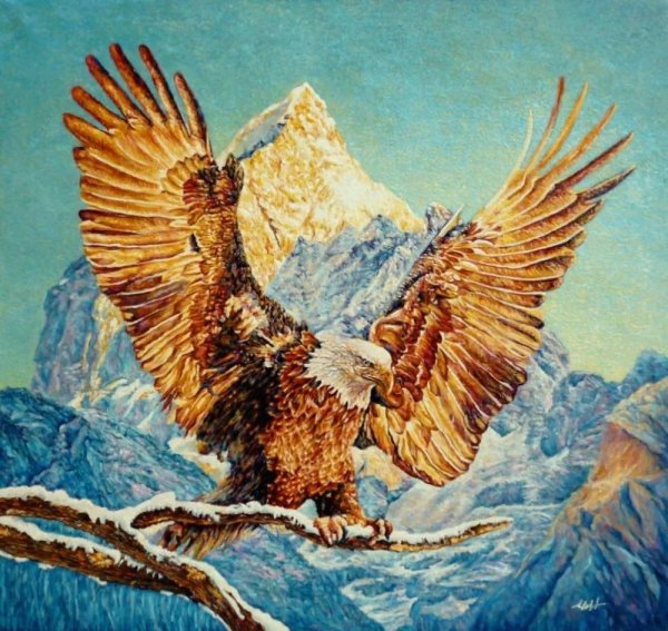 Пейзажи с орлами