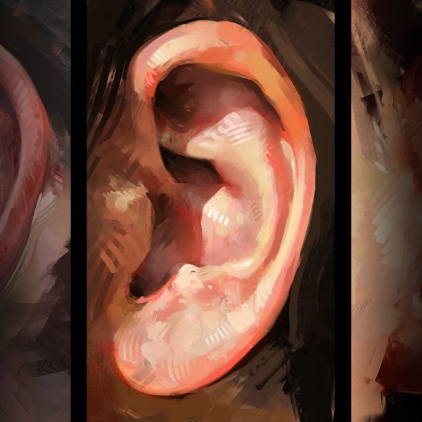 Картина уха