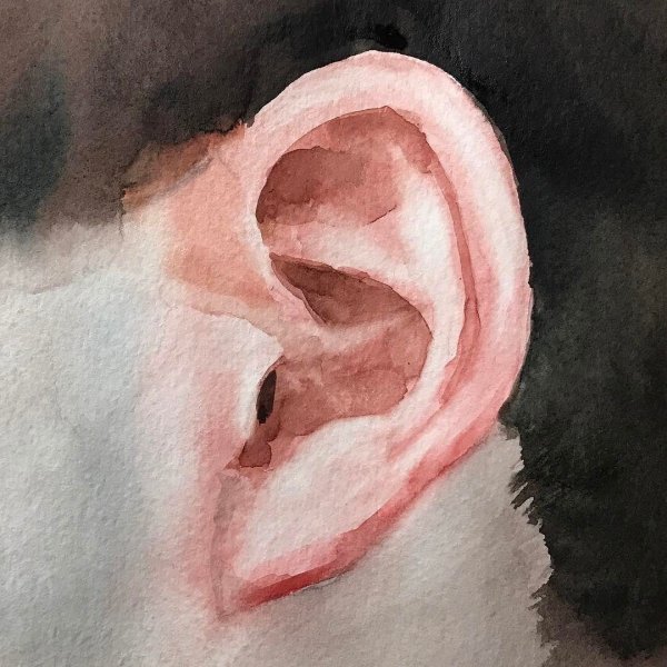 Ухо рисунок акварелью