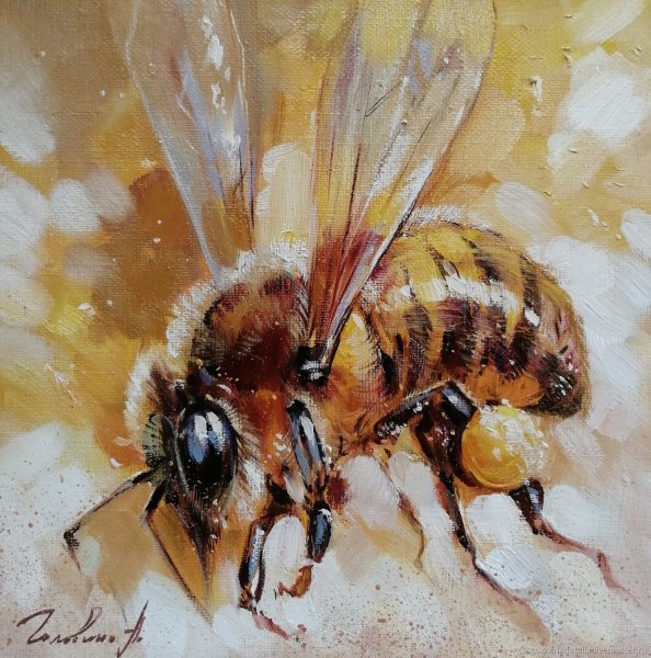 Пчела картина