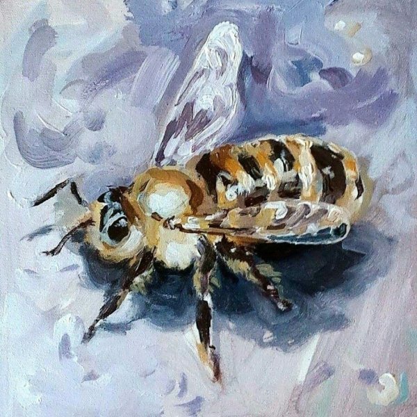 Пчела картина