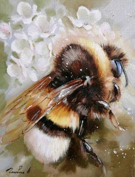 Шмель живопись