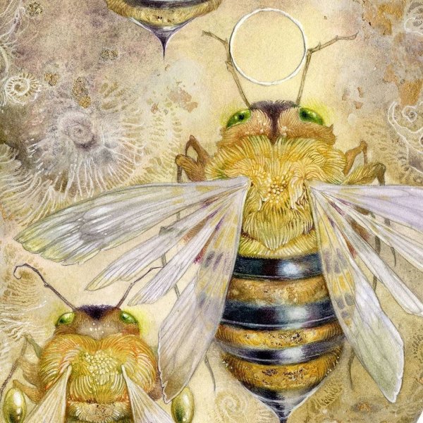 Насекомые для декупажа