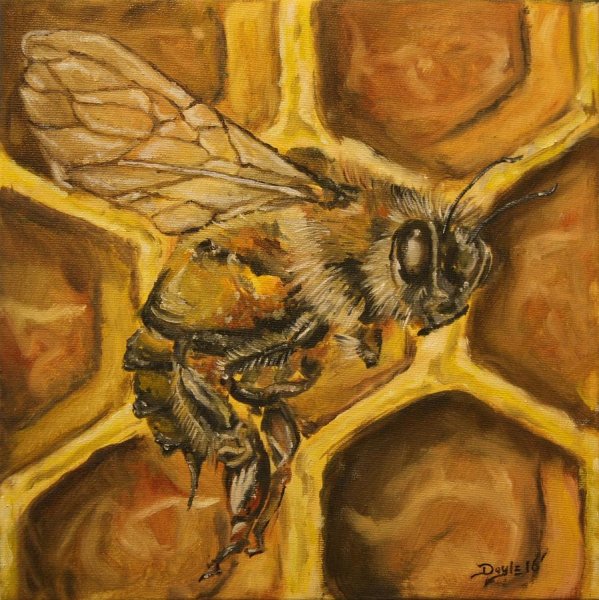 Пчела картина