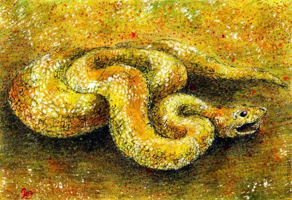 Змеи в живописи