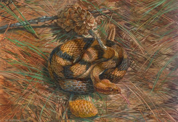 Змей в живописи