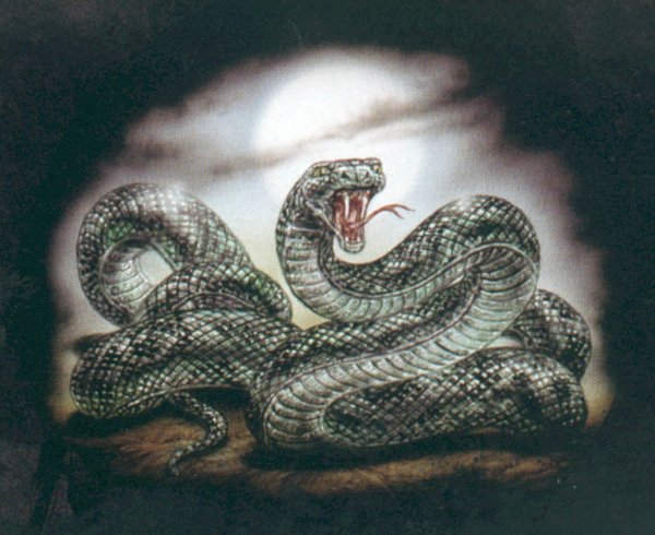Картины со змеями