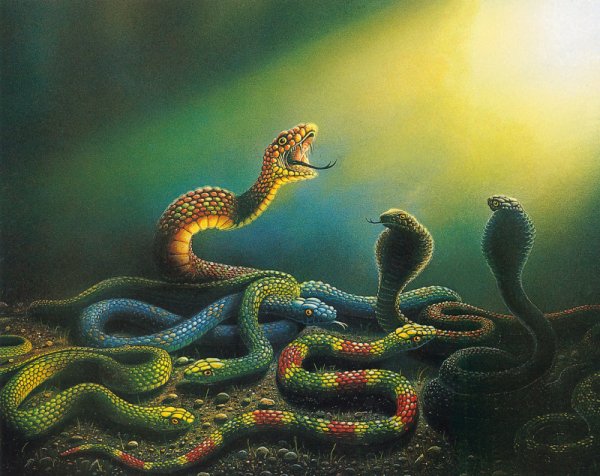 Мудрый змей