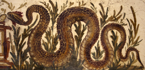 Змеи питон арт