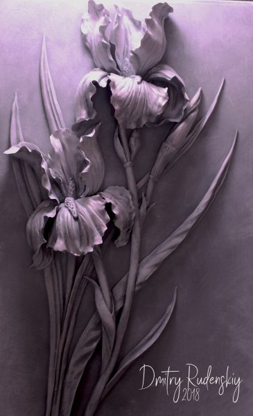 МК "ирисы" Дмитрий Руденский