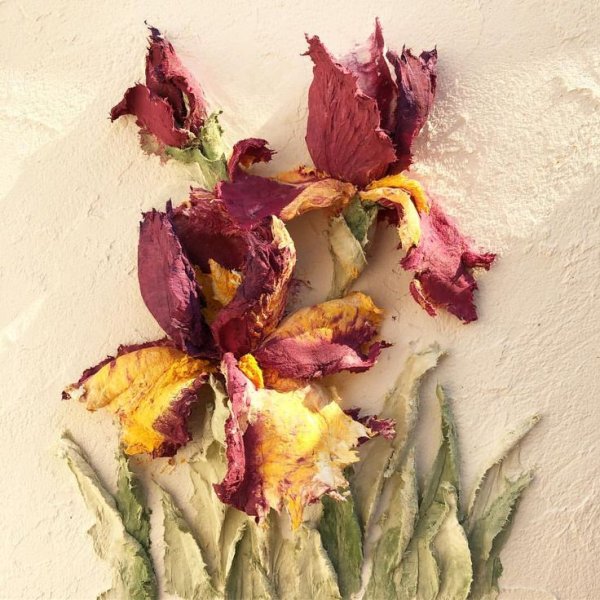 Ирисы текстурной пастой