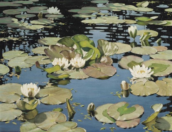 Гольбейн кувшинки