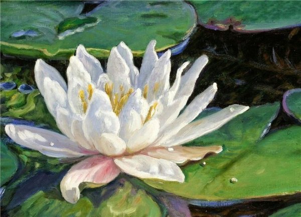 Картина Лотосы Моне