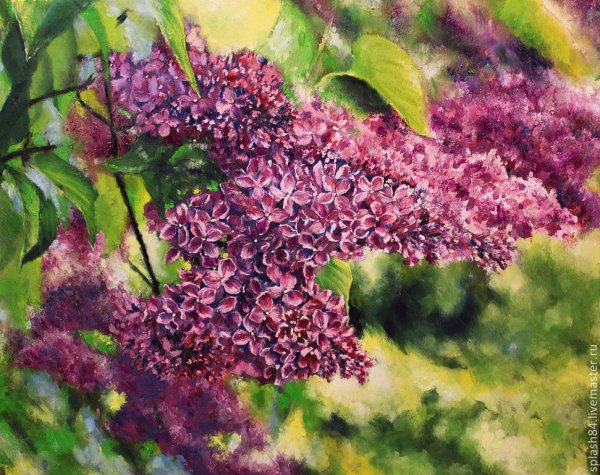 Сирень Игоря Ропяника