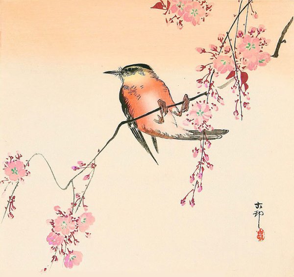 Птицы в китайской и японской живописи