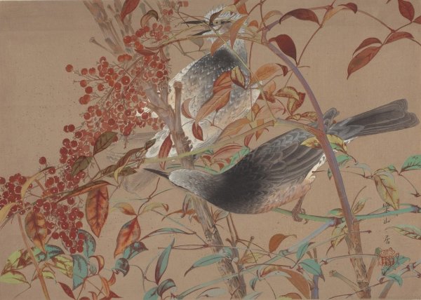 Художник Rakusan Tsuchiya