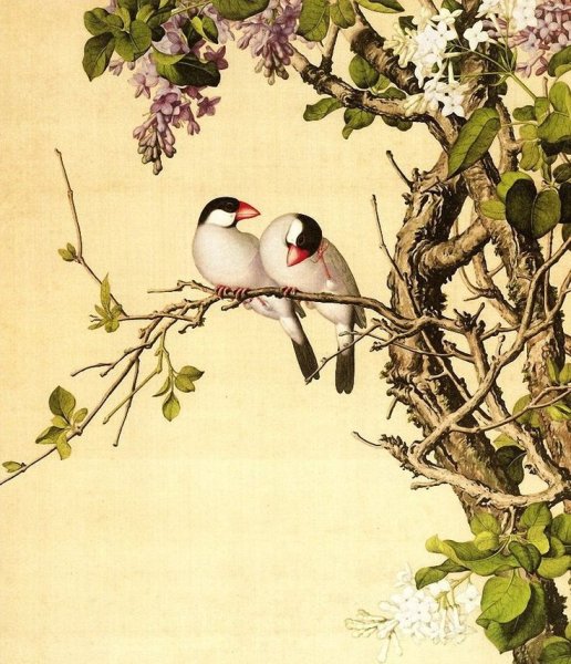 Гохуа китайская живопись птицы