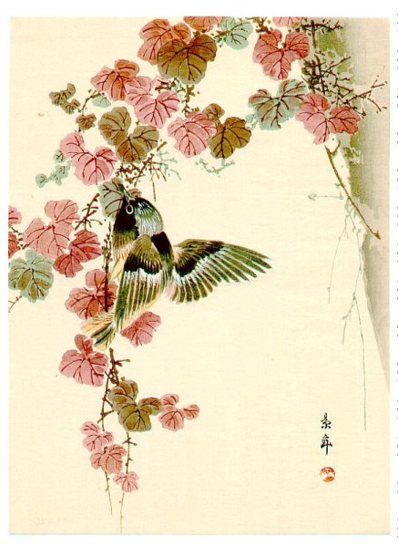 Джузеппе Кастильоне (Giuseppe Castiglione)