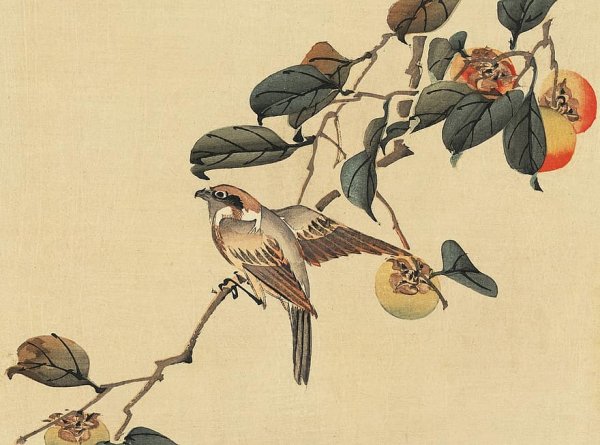 Золотой фазан японская живопись