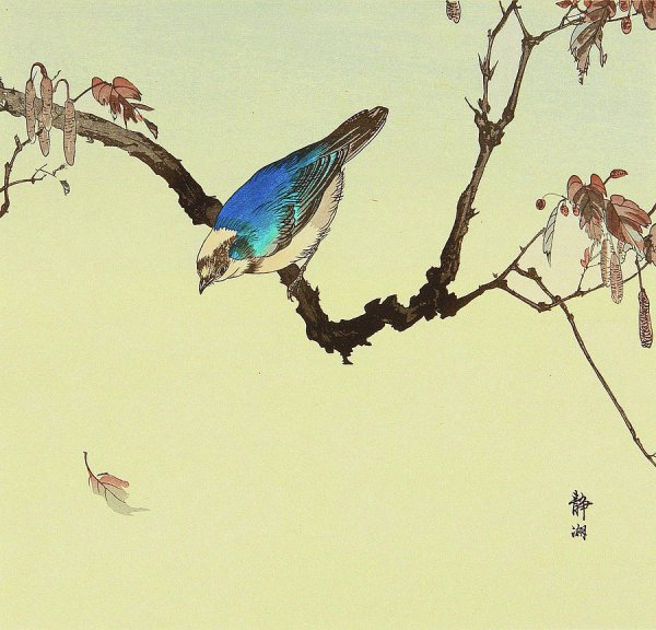 Чжин Хонгджун "Райские птицы" картина Райские птицы