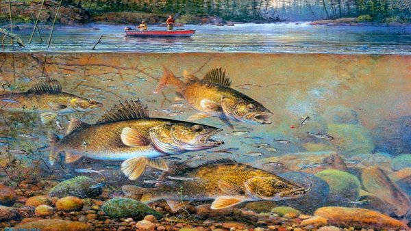 Николай Соломин художник