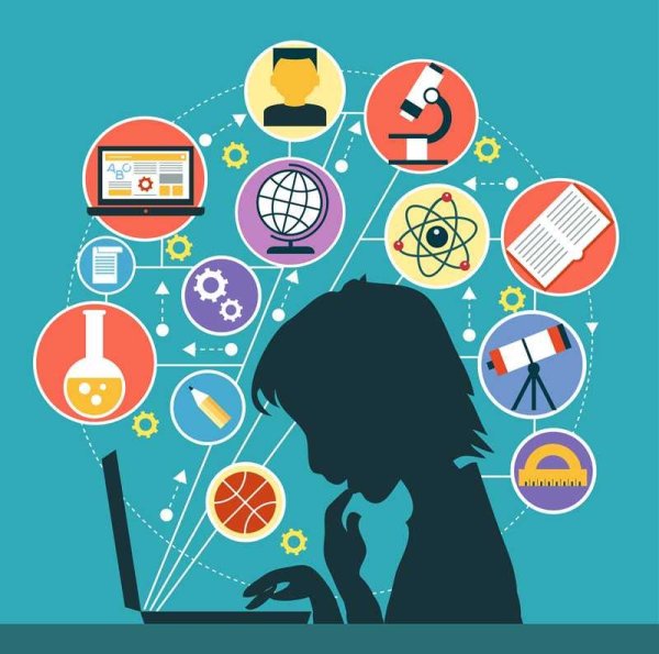 Студент инфографика