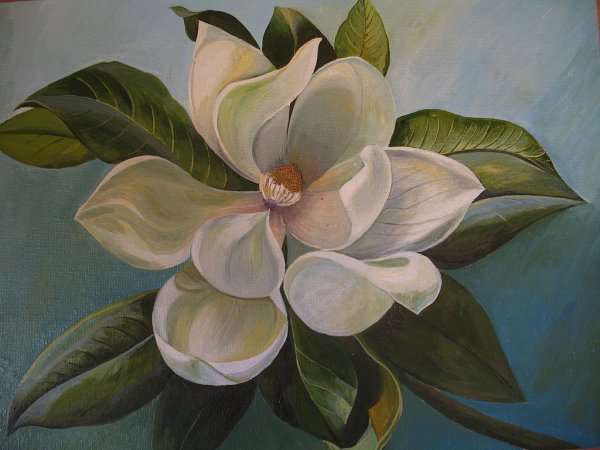 Базанова белая Магнолия