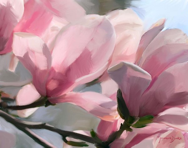 Художник Norman Coker Магнолия