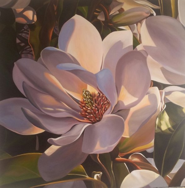 Магнолия Игорь Левашов цветы
