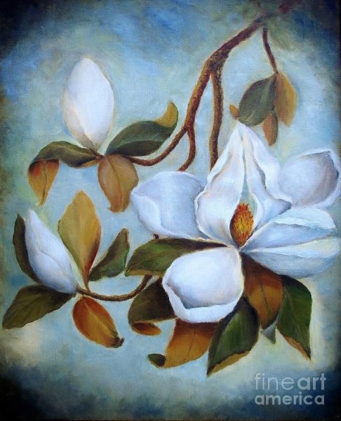 Магнолии Мартин Джонсон хед самые знаменитые