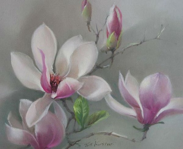 Магнолия пастелью