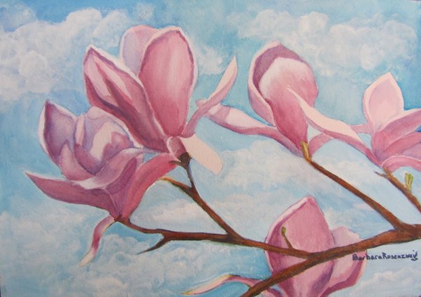 Магнолия пейзаж