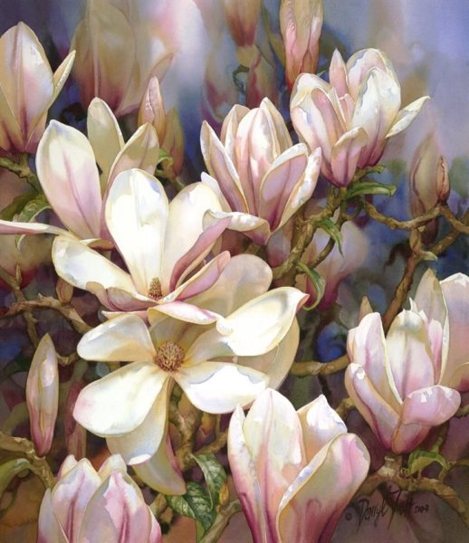 Darryl Trott художник