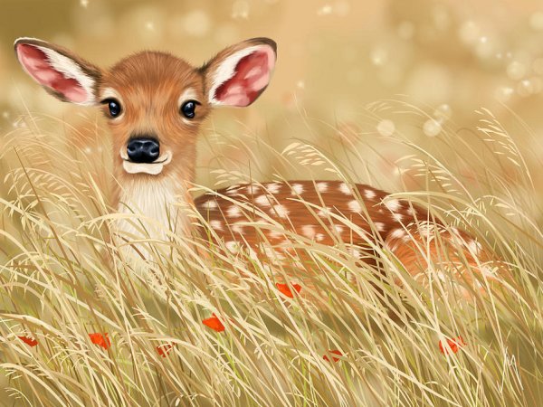 Veronica Minozzi картины