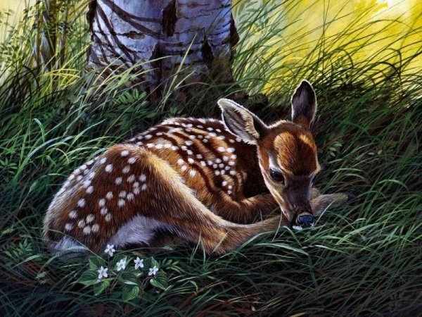 Олененок в живописи