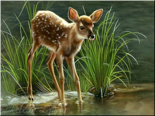 Художник Rebecca Latham