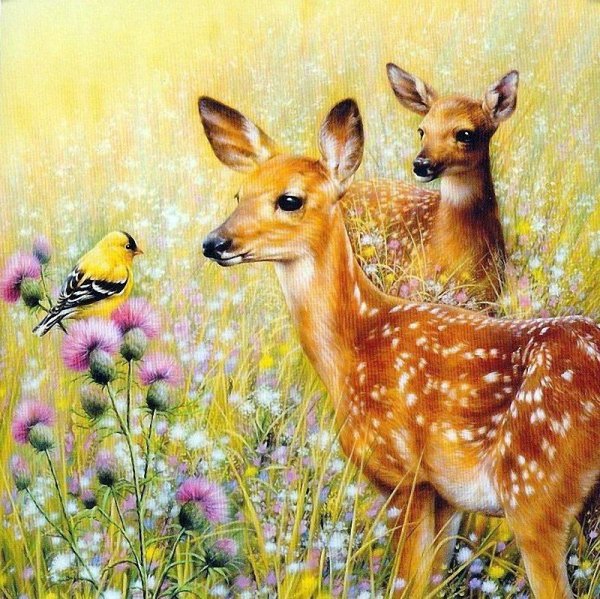 Грег Джордано