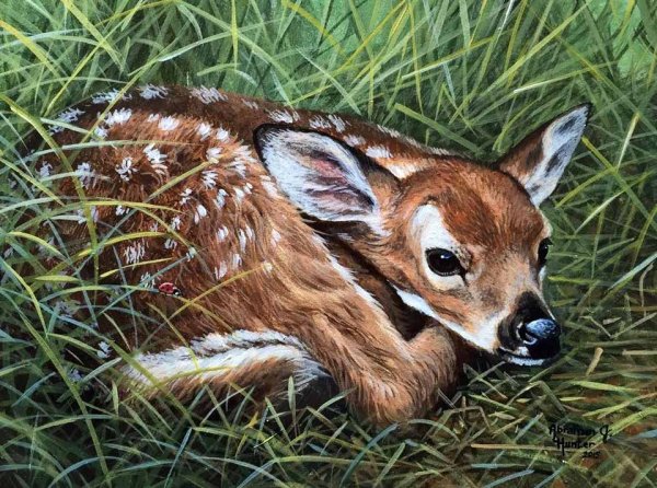 Художник Абрахам Хантер животные