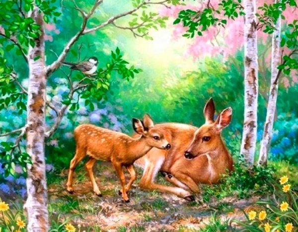 Олень и олениха в лесу